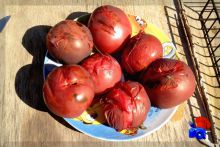 Запеченные помидоры на костре